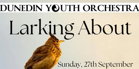 Larking About - Morning concert