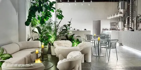 50+ Speed Dating 2.0 in the West End, Ages 50-65