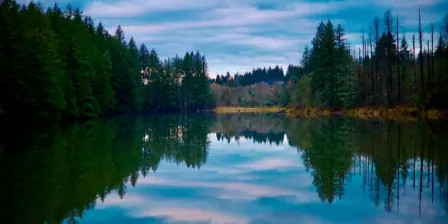 Walk: Lacamas Lake, Camas, WA