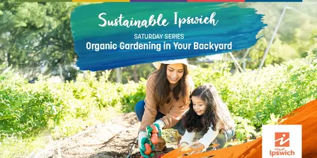 Growing Organic food for your family in your backyard - Workshop - Sustainable Ipswich