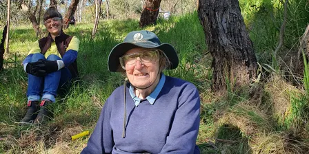 Regenerate, Bushcare and Butterflies
