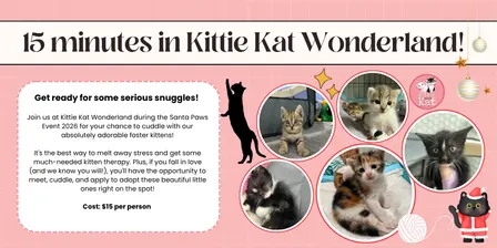 (9:00 - 9:15am) 15 minutes in Kittie Kat Wonderland! Santa Paws 2026