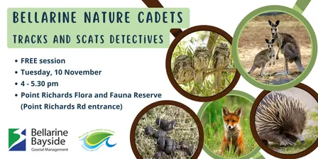 Tracks and Scats