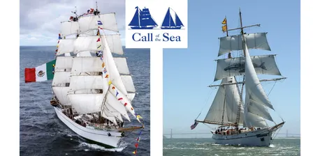 Tall Ship Cuauhtemoc Escort Sail on brigantine Matthew Turner