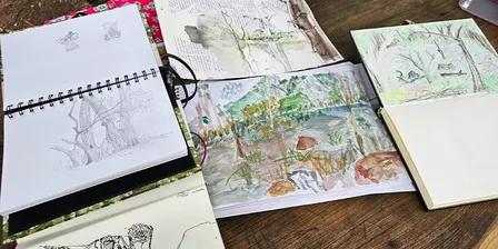 Nature Journaling