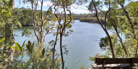 Ventemans Reach and Lovetts Reserve Guided Bushwalks