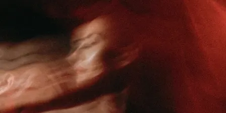 The Expanded Voice: Experimental Sound Showcase