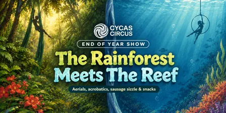 The Rainforest Meets The Reef