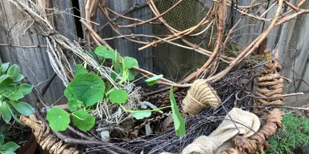 Slow Weaving: Organic Basketry Workshop