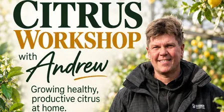 Citrus Workshop with Andrew