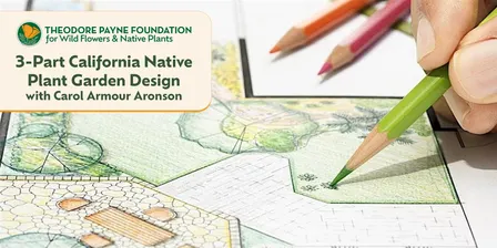 3-Part California Native Garden Design with Carol Armour Aronson - Nov 20, 2026