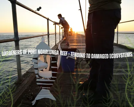 Gardeners of Port Noarlunga Reef - Tending to Damaged Ecosystems