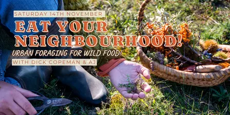 Eat Your Neighbourhood! Urban Foraging for Wild Food