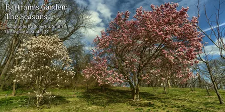 Bartram's Garden: The Seasons