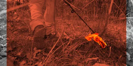 2027 Savanna Fire Forum