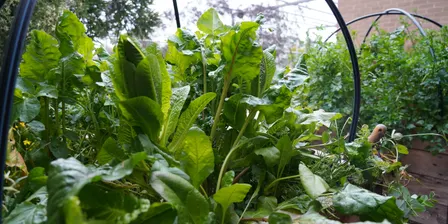 Rethink Food Waste: Composting Workshop and Farm Raiser Tour