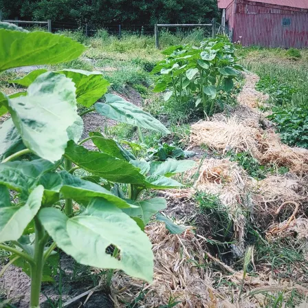 Introduction to Permaculture