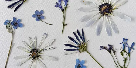 Petals & Paper: Pressed Flower Cards & Bookmarks with Priscilla