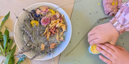 Nature Dough Kids Workshop