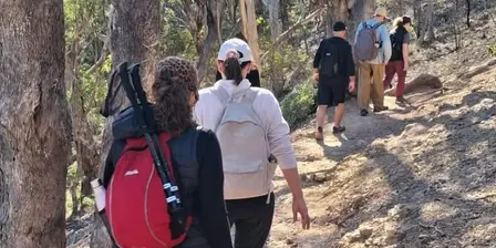 Camino Ready #1 — Yarra Valley Rail Trail | 20km