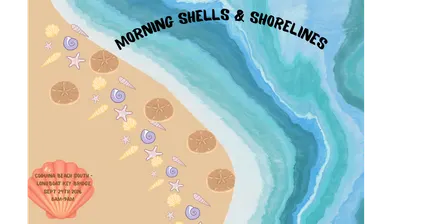 Morning Shells & Shorelines