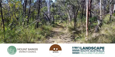 Scrub Up Your Scrub: Caring for Native Vegetation