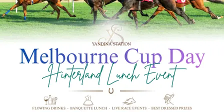 Hinterland Melbourne Cup