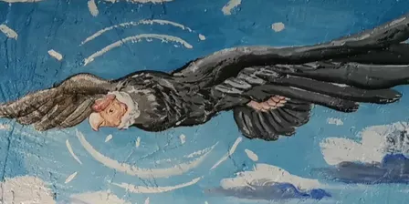 Let's paint El Condor 🦅 – The Andes Eagle