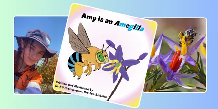 Amy is an Amegilla - Native Bee Storytime with Dr Kit Prendergast (ages 2-5)