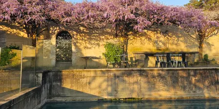 WINE BAR Wisteria Bloom: Special Courtyard Access at Montsalvat