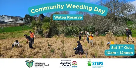 Community Weeding bee at Watea Reserve