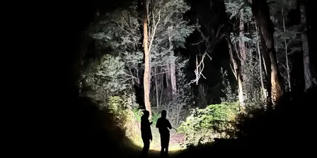 Insect Surveys - Lenister Farm with Friends of Biodiversity Hohnes Hill and Entomological Society of Victoria