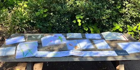 Urban Nature Journaling - Melbourne CBD