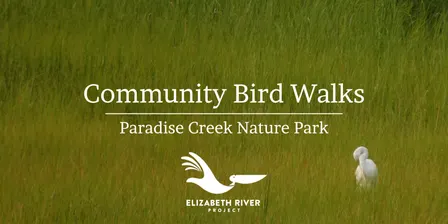 Community Bird Walks at Paradise Creek Nature Park