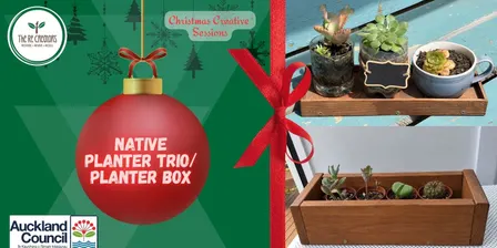 Christmas Series-Native planter trio/Mini planter with take home seedlings, The ReCreators Green Space, Monday 23 Nov, 10am-1pm