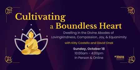 Cultivating a Boundless Heart