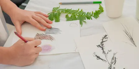 Eco-drawing for kids