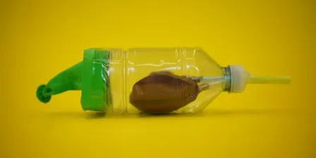 Saturday Create: Biology (Ages 5-7)