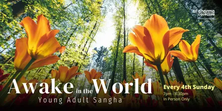 Awake in the World: Young Adult Sangha (In Person)