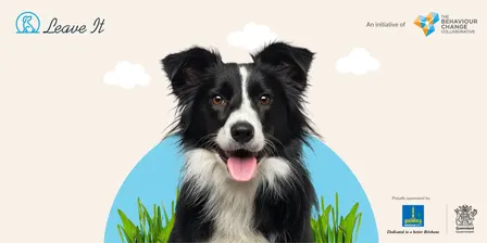 Free Dog Training Session in The Gap
