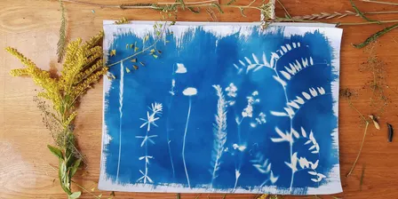 KIDS WORKSHOP: Wooden Cyanotype Bookmark | Floriade at Lanyon 2026