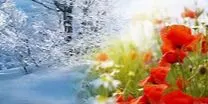 Nature Based Therapy Pilot Program - Holistic Mentalhealthcare