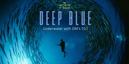 Deep Blue: Underwater Photography