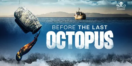 Hobart| Before The Last Octopus Screening