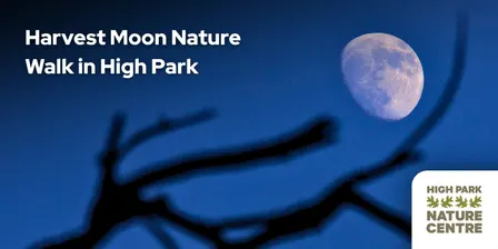 Harvest Moon Nature Walk in High Park