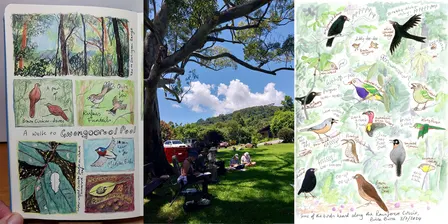 Introduction to Nature Journaling workshop
