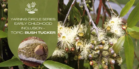 Yarning Circle Series - Early Childhood Inclusion - Bush Tucker