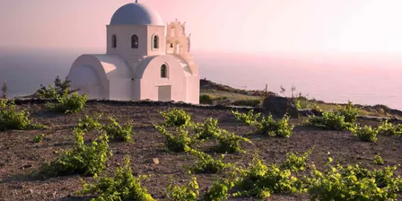 Greek Wine - a modern Odyssey