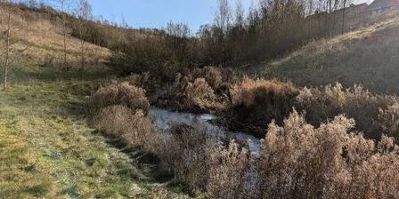 October River Monitoring Walk - Ford Green Brook North