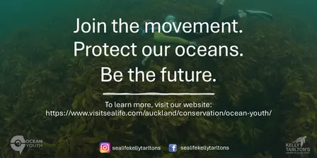 Ocean Youth Aotearoa: Spring Programme 2026